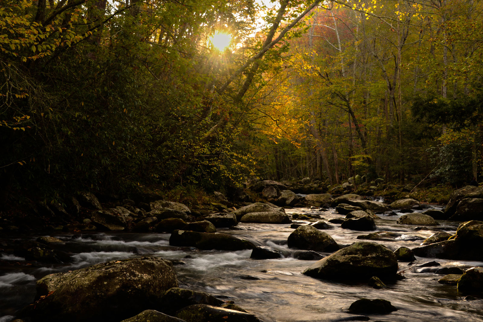 A Smoky Mountain Stream in the Fall