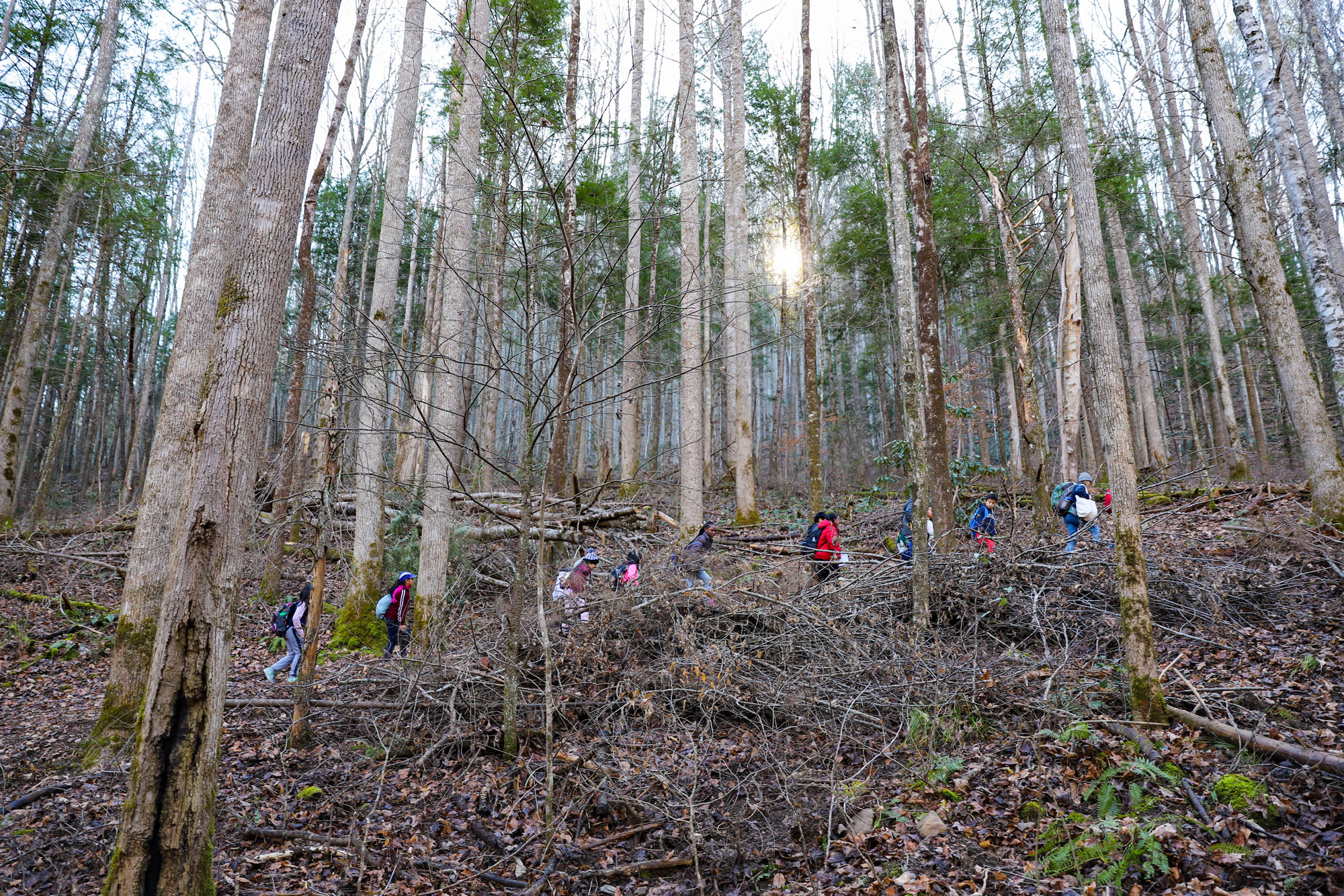 Lonsdale students hike in the Smokies