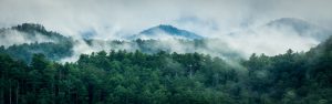 Smoky Mountains landscape photo by David Bryant