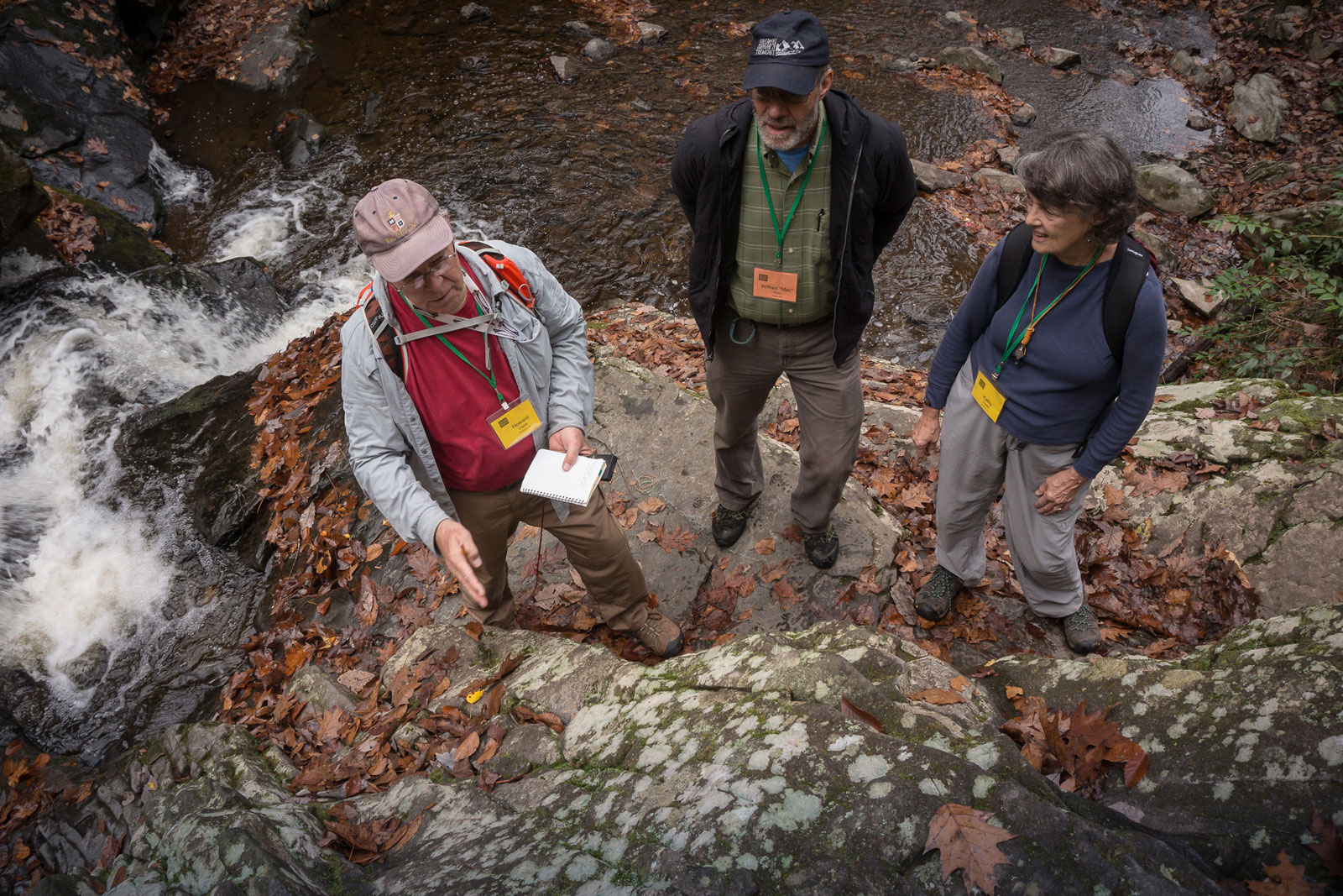 Geology workshop participants study a rock formation in the Smoky Mountains