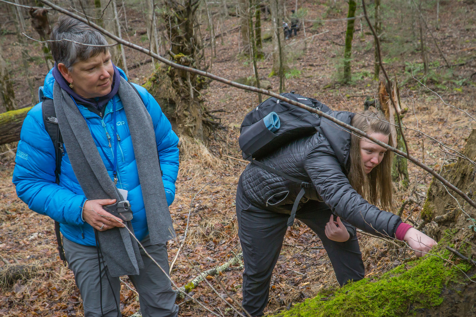 Two students of the naturalist certification program examine moss on a tree