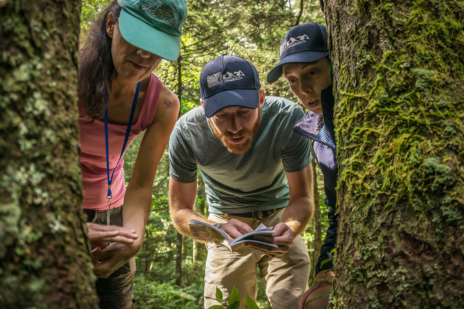 Naturalists study the ecology of the Southern Appalachian mountains
