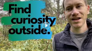 Find curiosity outside with Weekly Wonder