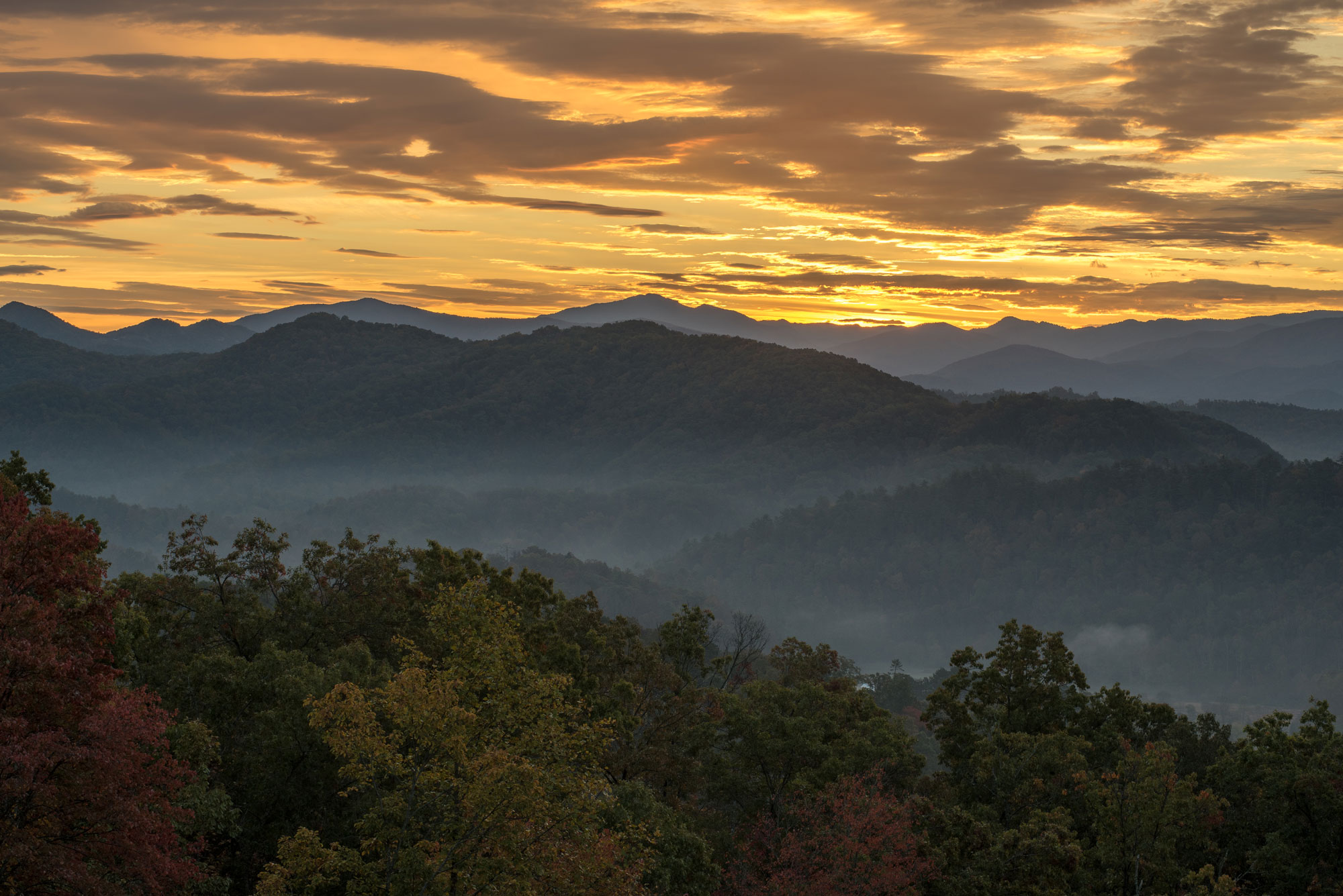 Great Smoky Mountains National Park by Frank Joa
