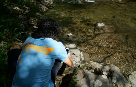 A volunteer takes a photo of signs of an otter in the Smokies