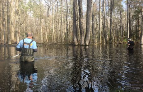 Community scientists study vernal pond breeding amphibians in the Smokies