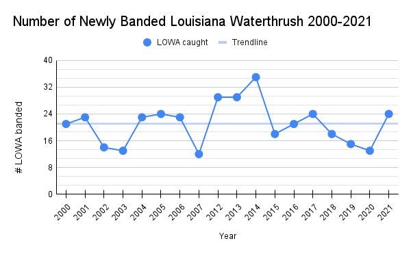 A chart shows the number of newly banded Louisiana Waterthrush birds from 2000 to 2021.