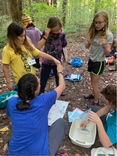 Students learn outdoors at Tremont.