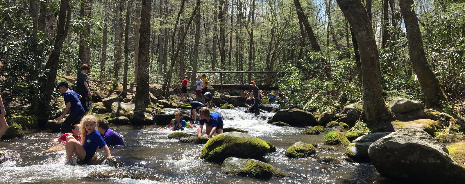 Students playing in the river at Tremont