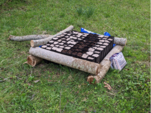 Pawpaws planted at second campus.