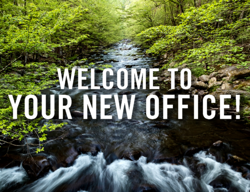 NOW HIRING: Teacher Naturalist