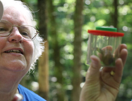 Tremont Institute Hosts Virtual Naturalist Week with Activities for All Ages