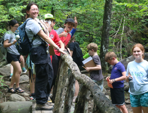 Tremont Summer Camp Highlights