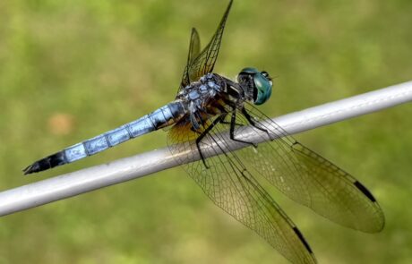 498712594_1116274497198334_8086079917342122451_n