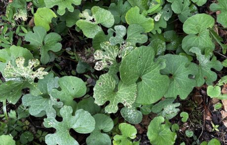 508640092_10237135123497317_4570700072038261736_n