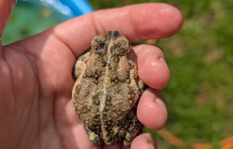 508748601_24472479225668760_8655309271383972053_n