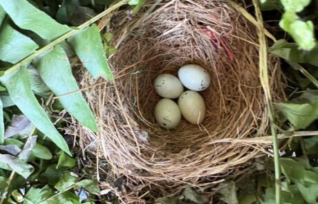 508822408_10163674330036474_4182557990517750948_n