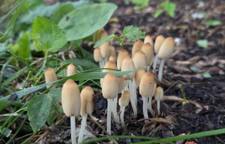 508863419_1115956413896809_1820827976828352086_n