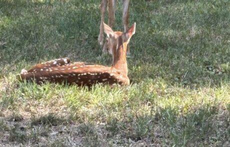 509356175_10231908742205057_2558121620849554953_n