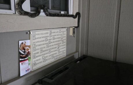 509428346_10229302737892453_2288385185274093635_n