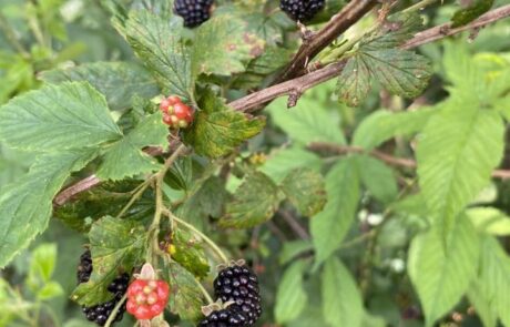 510860981_23870275212592247_6952230396874319930_n