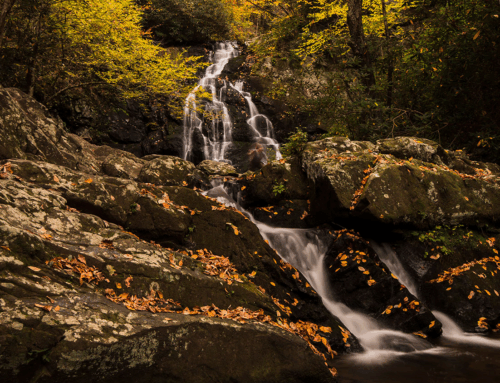 The Quiet Turning: Autumn in the Smokies