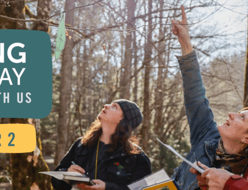 Thank Your for a Successful Giving Tuesday!