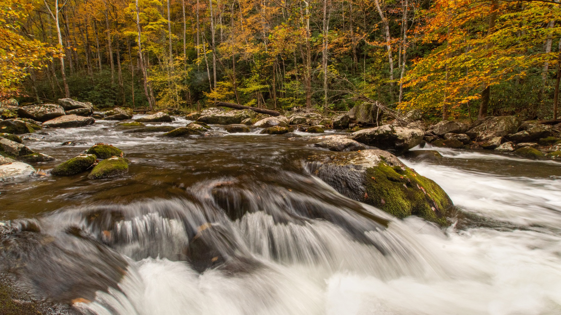 2025 Fall Photo Workshop – Randy Richards7