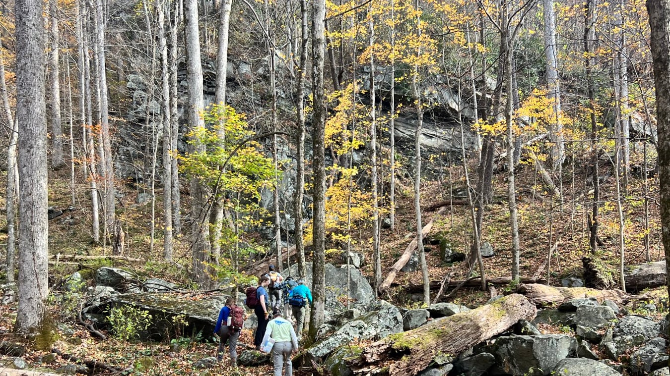 Geology – Tina Carter 14