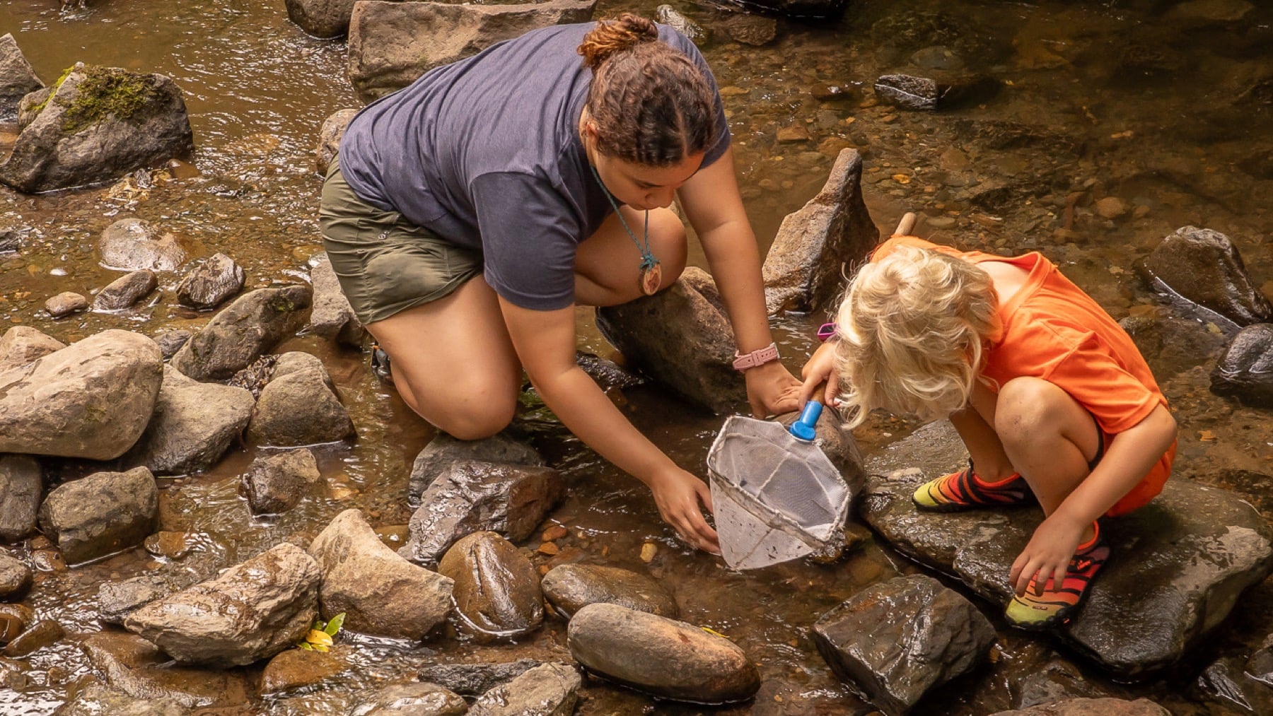 Smoky Mountain Family Camp – David Bryant 33